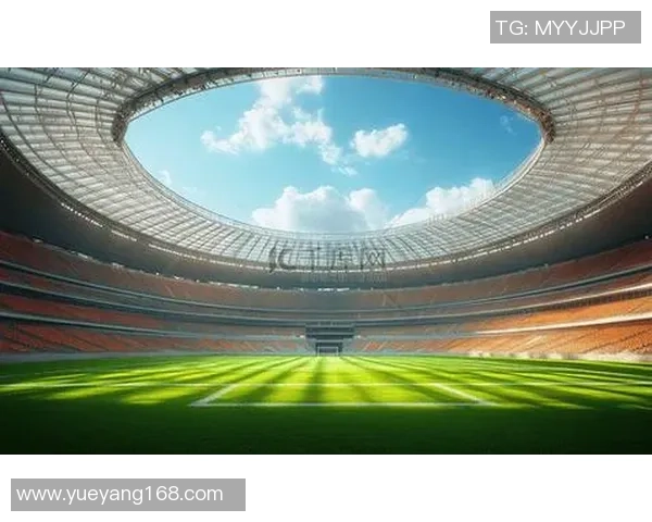 足球场边网的重要性及其对比赛安全和观众体验的影响分析